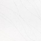 Statuario Venato Quartz countertops Venice